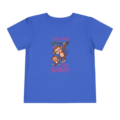 I Am The Big Sister Cute Toddler Tee - 7 colors