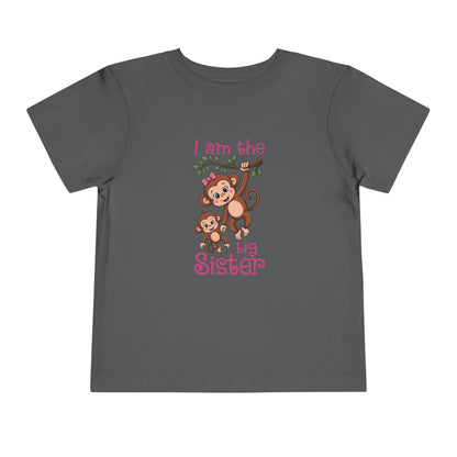 I Am The Big Sister Cute Toddler Tee - 7 colors