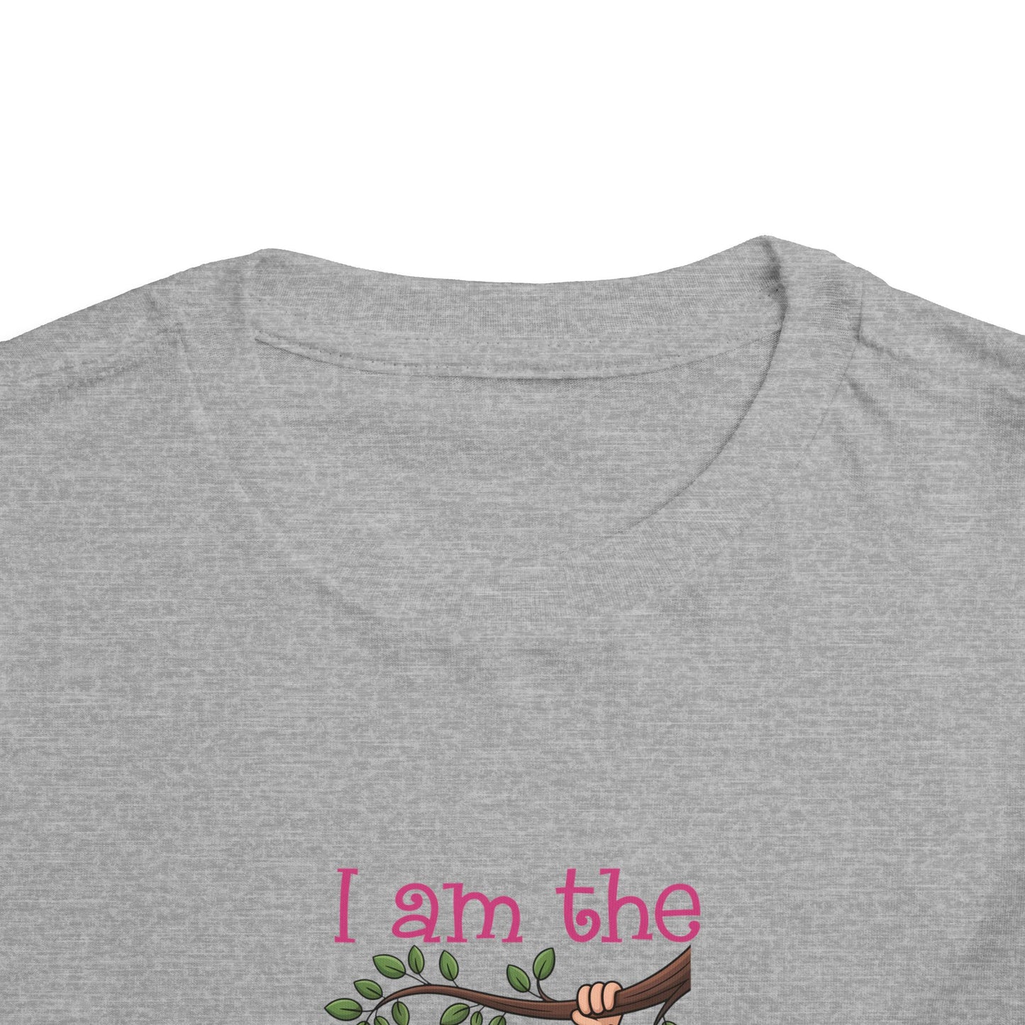 I Am The Big Sister Cute Toddler Tee - 7 colors